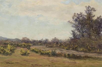 null Léon BENOIT (1891 - )
Paysage,
huile sur toile, signée en bas à droite 
Cadre...