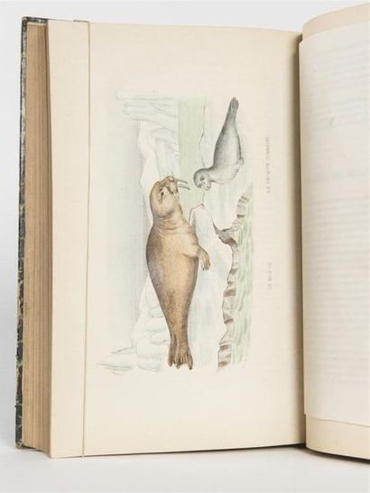 null BUFFON : OEuvres complètes. Dion-Lambert, Paris, 1860.
17,5 par 26,5 cm. 9 volumes,...