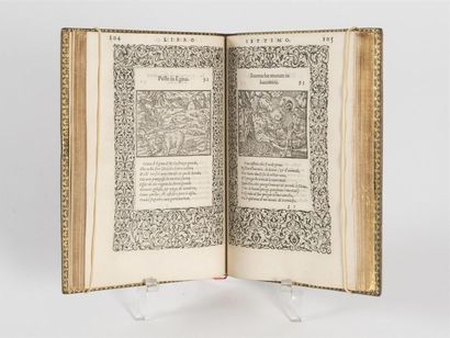 null (OVIDE) (Jean de TOURNES) SYMEONI (Gabriello). La Vita et Metamorfoseo d'Ovidio,...