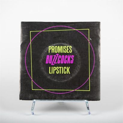 null Promises Buzzcocks
Vinyle
UP 36471