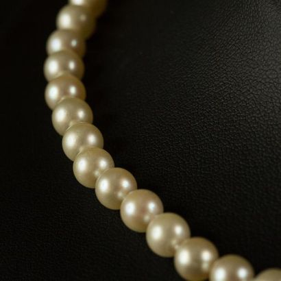 null Sautoir d'un rang de perles de culture de même diamètre (6,90 mm à 7 mm) Fermoir...