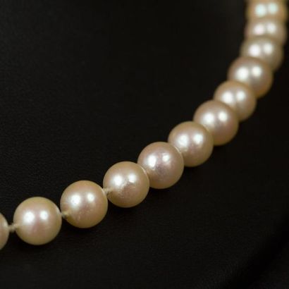 null Collier un rang de perles de culture de même diamètre 7,20 mm. Fermoir bouée...