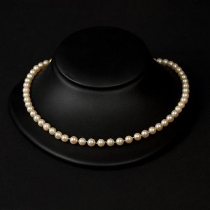 null Collier un rang de perles de culture de même diamètre 7,20 mm. Fermoir bouée...