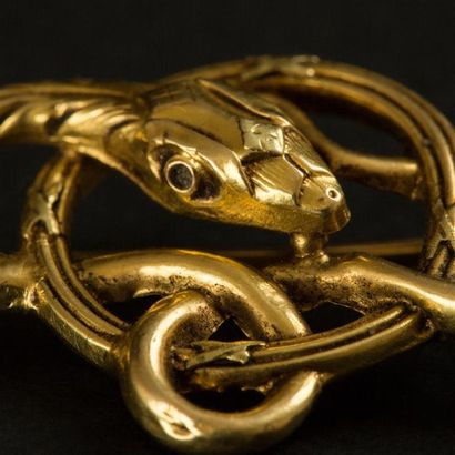 null Broche en or jaune (750) 18K figurant un serpent qui s'enroule sur un anneau....
