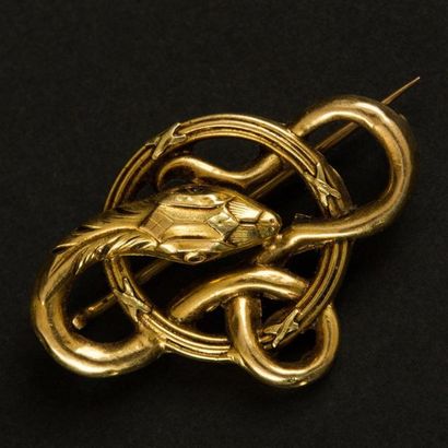 null Broche en or jaune (750) 18K figurant un serpent qui s'enroule sur un anneau....
