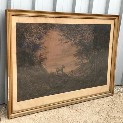 null TILLET (1844-1889) peintre lyonnais
Bouc dans un paysage de bois et lac
Grand...