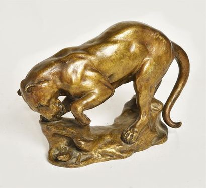 null G GARDET Lionne et lézard 
bronze, Epreuve à patine 
H: 21 - L: 30 cm