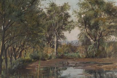 null Paul MERY (1850)
Mare aux canards
Huile sur toile
Signée en bas à droite
46...