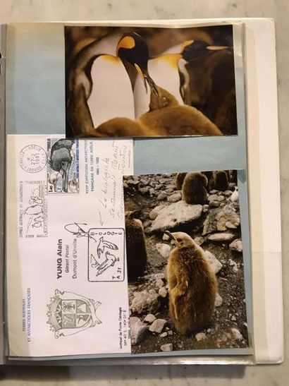 null Philatélie - Classeur de timbres neufs et marques postales sur les terres australes...
