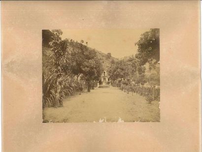 null Deux photos anciennes : photo d'une plantation et photo d'un port (Guadeloupe...
