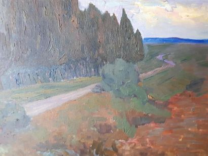 null Henri GERARD (1865-1925)
Paysage aux cyprès
Huile sur bois, non encadrée,
37...