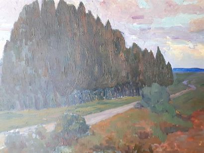 null Henri GERARD (1865-1925)
Paysage aux cyprès
Huile sur bois, non encadrée,
37...