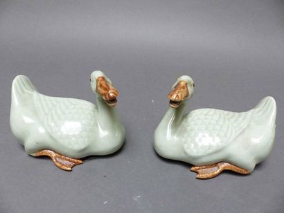 null Chine, Paire de canards en porcelaine céladon 
Début 20ème siècle
L : 15cm,...