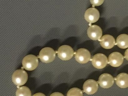 null Collier d'un rang de perles de culture de même diamètre, fermoir et chaine de...
