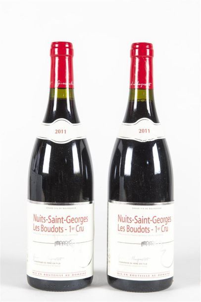 null 2 B NUITS ST GEORGES LES BOUDOTS (1er Cru) Gérard Mugneret 2011