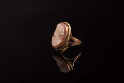 null Bague en or 18K (750) ornée d'un camée coquille. Poids brut : 4,40 g hibou