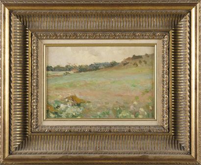 null Ecole française 20ème
Paysage
Huile sur panneau
18.5 x 27.5 cm
Cadre en stuc...