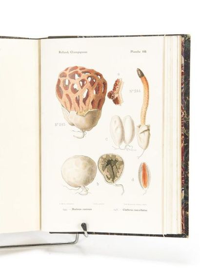 null ROLLAND (Léon) : Atlas des champignons de France Suisse et Belgique. Aquarelles...