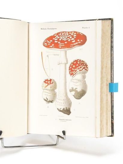 null ROLLAND (Léon) : Atlas des champignons de France Suisse et Belgique. Aquarelles...