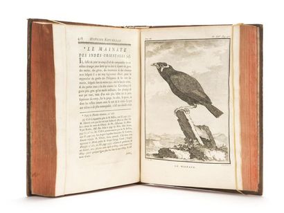 null BUFFON (Georges-Louis Leclerc de) : Histoire naturelle des oiseaux. Paris, imprimerie...