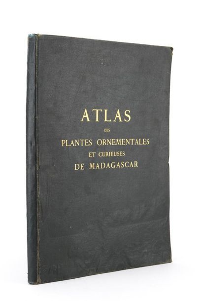 null [MADAGASCAR] LOUVE (M.) : Atlas des plantes ornementales et curieuses de Madagascar
S.l...