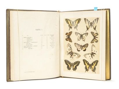 null SPULER (Arnold) : Papillons d'europe. Stuttgart, Lehmann, 1908.
Volume de planches...