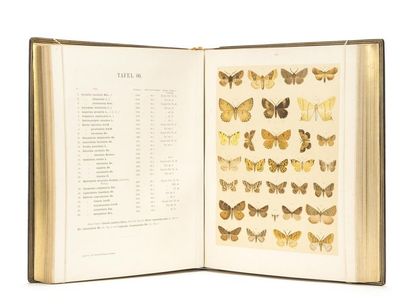 null SPULER (Arnold) : Papillons d'europe. Stuttgart, Lehmann, 1908.
Volume de planches...