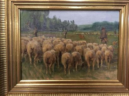 null Troupeau de moutons
Huile sur panneau
18 x 25 cm
