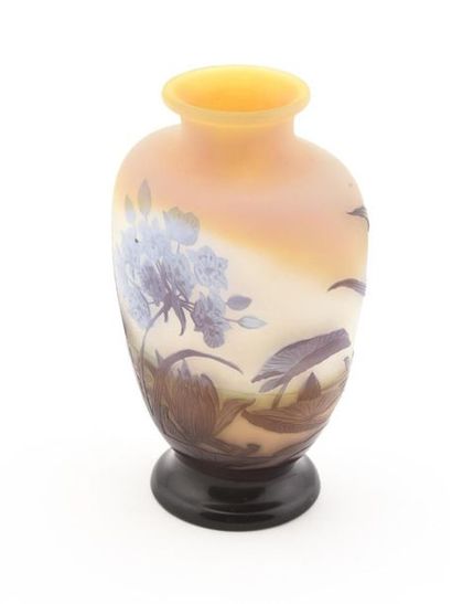 null Émile GALLÉ (1846-1904) 
Vase de forme ovoïdale aplatie reposant sur un piédouche...