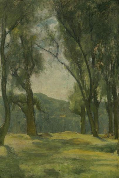 null Léon GARRAUD (1877 - 1961)
Paysage 
huile sur carton
Signée 
53 x 44 cm