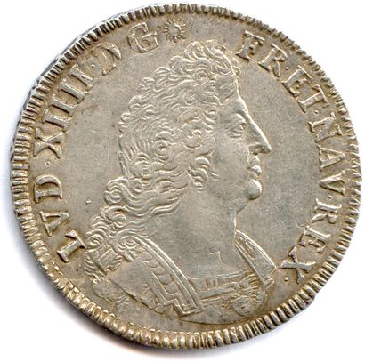 null LOUIS XIV 1643-1715

Shield with Palms 1694 K = Bordeaux. 

(27.29 g) Gad 217

Reformation....