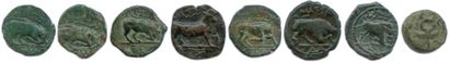null MASSALIA 

Eight small bronzes of Massalia: seven bronzes with the bull and...