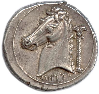  ZEUGITANE - CARTHAGE Siculo-punic coinage 320-300 
Head of Tanit on the left, adorned...