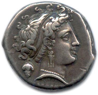  CAMPANIE - NAPLES 325-241 
Tête de la nymphe Parthénope à droite, les cheveux retenus...
