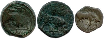 null MASSALIA 215-140-49

Same type.

♦ Brenot cf 179; BN 1476

Three coins with...