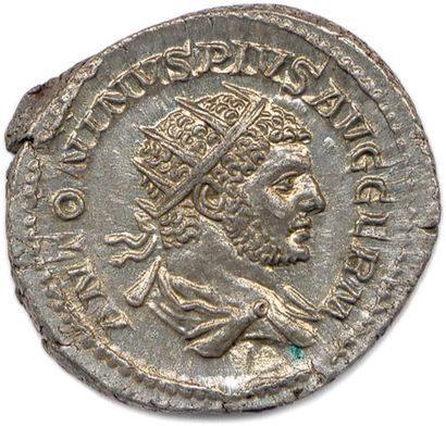 null CARACALLA Licius Septimius Bassianus 211-217

ANTONINVS PIVS AVG GERM. Son buste...