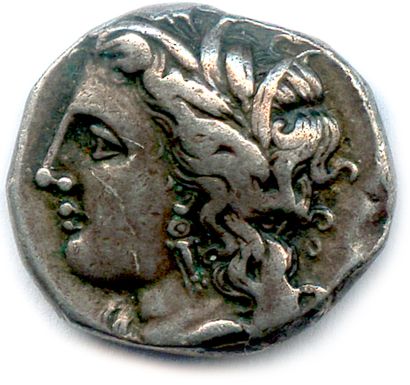 LUCANIA - METAPONTE 330-290

Head of Demeter...