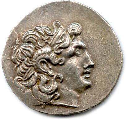 null KINGDOM OF THRACE - LYSIMACHUS 305-281

Divinized head of Alexander with the...