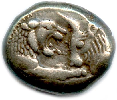 null ROYAUME DE LYDIE – CRÉSUS 564-546

Protomés de lion et de taureau affrontés....