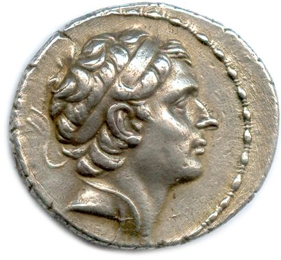 null ROYAUME DE SYRIE - ANTIOCHUS III LE GRAND 222-187

Sa tête ceinte d'un bandeau....