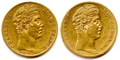null CHARLES X frère de Louis XVI 

16 septembre 1824 - 2 août 1830

Lot de 2 monnaies...