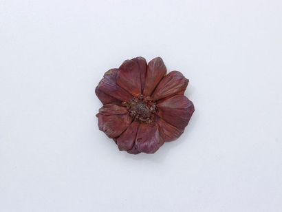 Claude LALANNE Claude LALANNE 

Copper brooch with brown patina stylizing an anemone....