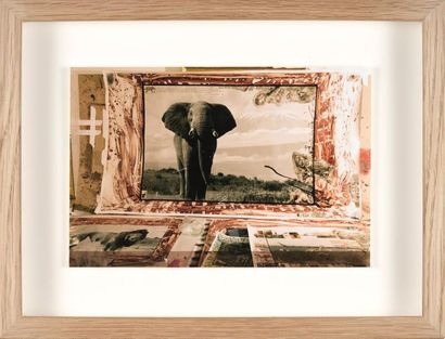 Peter BEARD Peter BEARD (1938-2020) - Elephant - Silver print, unique piece - 13,6...