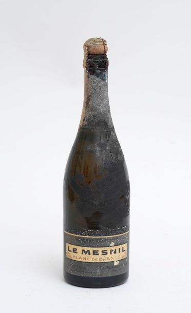 LE MESNIL CHAMPAGNE 1 bouteille CHAMPAGNE LE MESNIL 1949 Blanc de blancs (niveau...