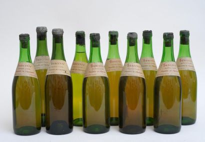 SANCERRE, VIN 10 bouteilles SANCERRE Vignoble Chavignol - Edouard VATAN (2 niveaux...