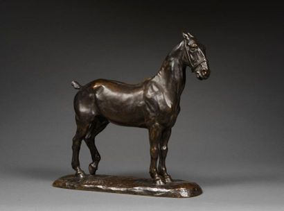 Gaston d'ILLIERS Gaston d'ILLIERS (1876-1932/52) - Jack - Bronze with shaded brown...