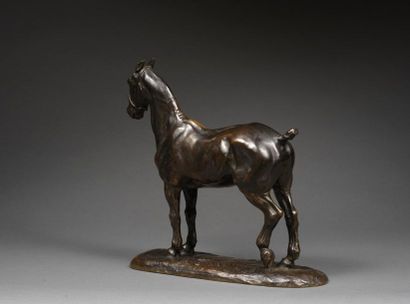 Gaston d'ILLIERS Gaston d'ILLIERS (1876-1932/52) - Jack - Bronze with shaded brown...