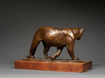 ROGER GODCHAUX Roger GODCHAUX (1878-1958) - Walking lioness - Bronze with shaded...