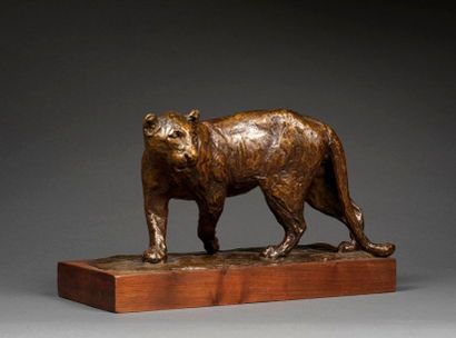 ROGER GODCHAUX Roger GODCHAUX (1878-1958) - Walking lioness - Bronze with shaded...