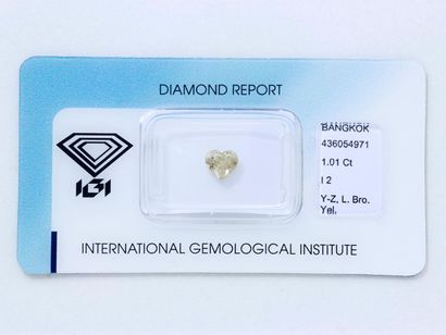 Diamant Diamant coeur modifié brillant sous scellé pesant 1.01 ct.

Il est accompagné...
